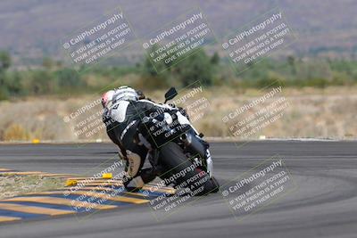 media/Oct-01-2023-SoCal Trackdays (Sun) [[4c570cc352]]/Turn 14 Backside (1120am)/
